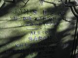 image of grave number 504717